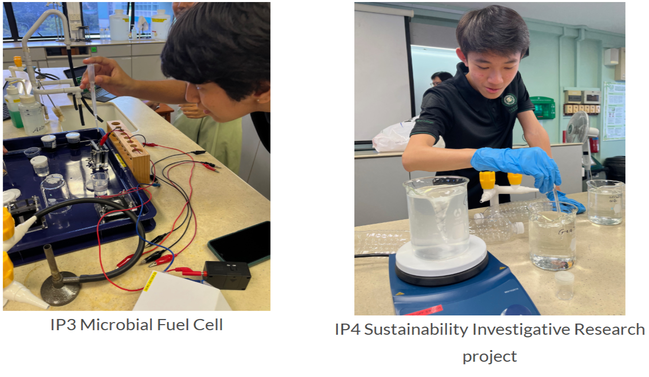 Temasek Academy Sci